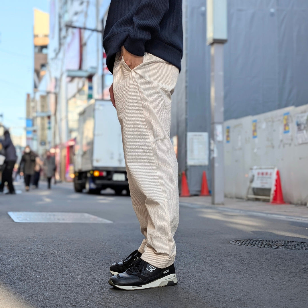 Engineered Garments - Andover Pant - Seersucker - QT173