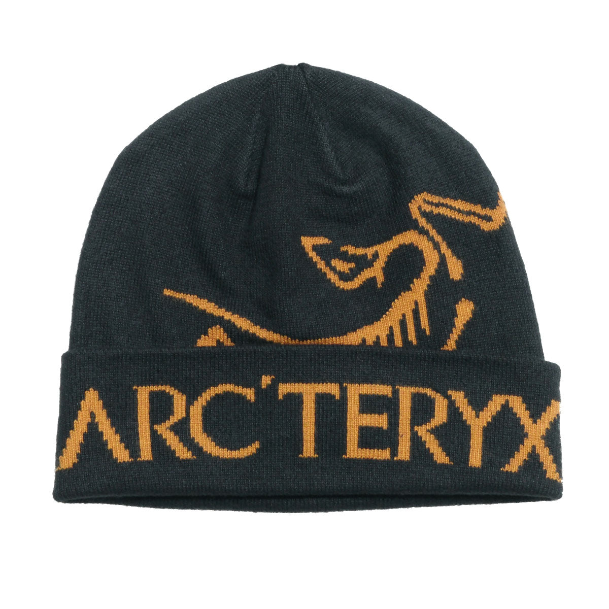 ARC' TERYX ニット ARC'TERYX LEAF ニットキャップ Cold WX Beanie AR